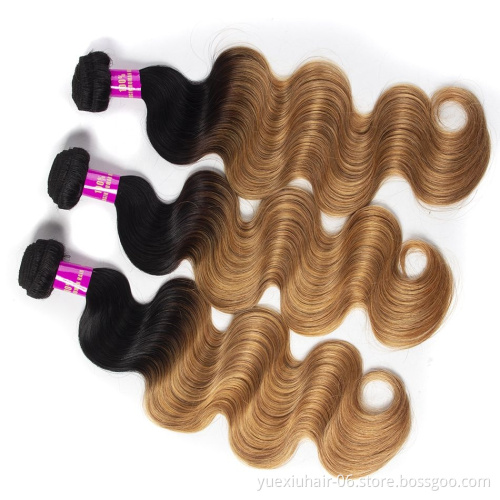 CELIE Body Wave 1B/27 Ombre Women Human Hair Mink 100% Virgin Hair Good Quality Human Hair Bulk